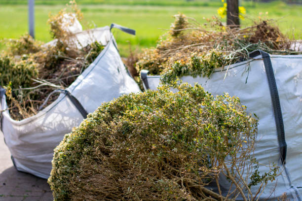 Best Attic Cleanout Services  in Dunn Loring, VA